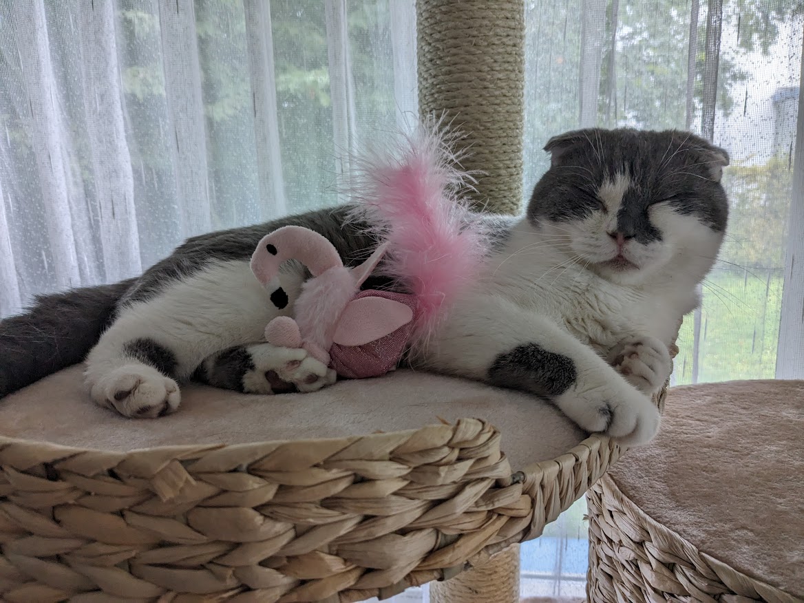 Robert mit Flamingo